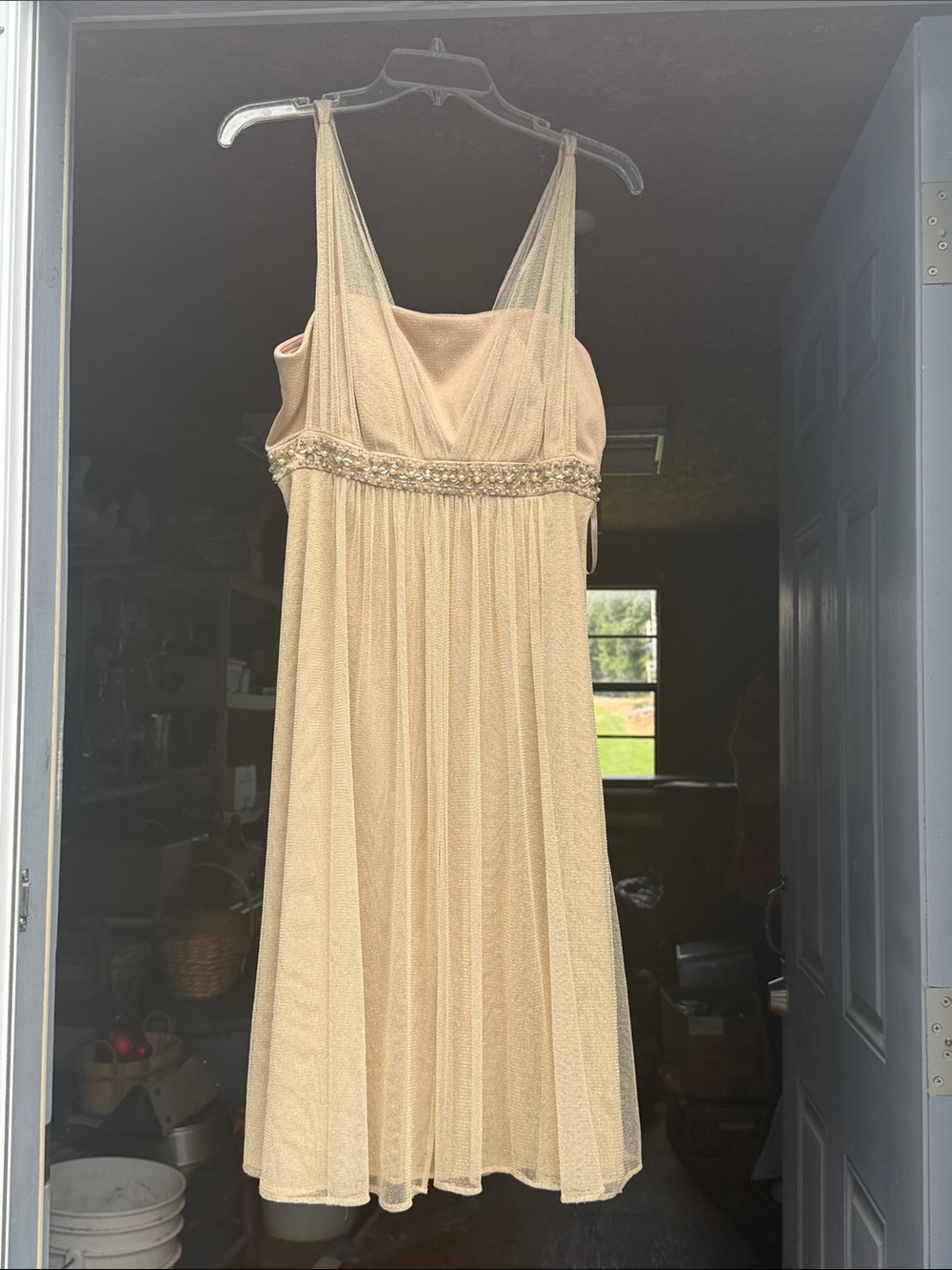 Elegant Champagne Mesh Empire-Waist Dress